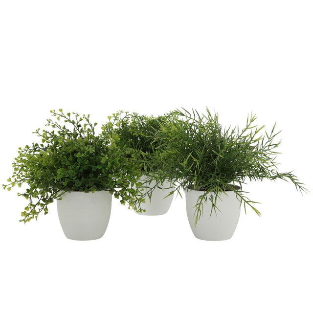 Planta artificiala in ghiveci alb, Ø 15 cm