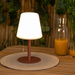Lampa de gradina ZACK, 30 cm