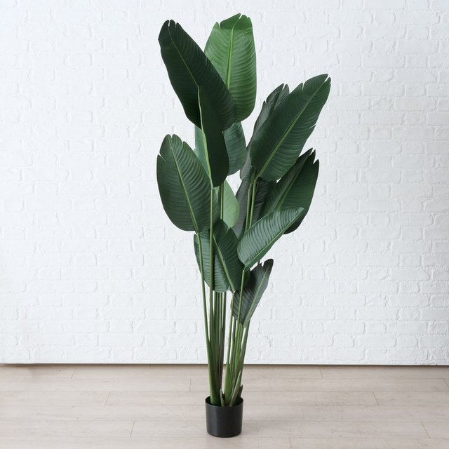 Planta de banane artificiala, inaltime 185 cm