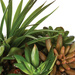 Plante artificiale, Ø 20 cm, o compoziție de plante suculente