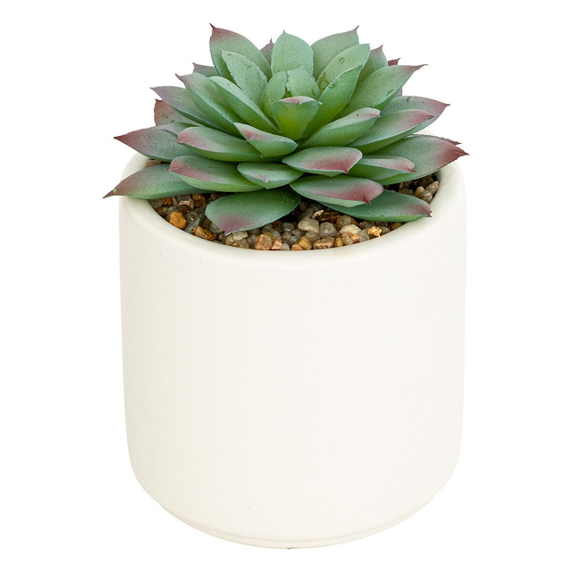 Mix de suculente Nils înălțime 12 cm -alb
