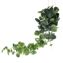 Plantă artificială suspendată, 56 cm