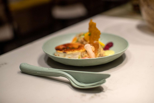 Soup Plate CLUB organic green