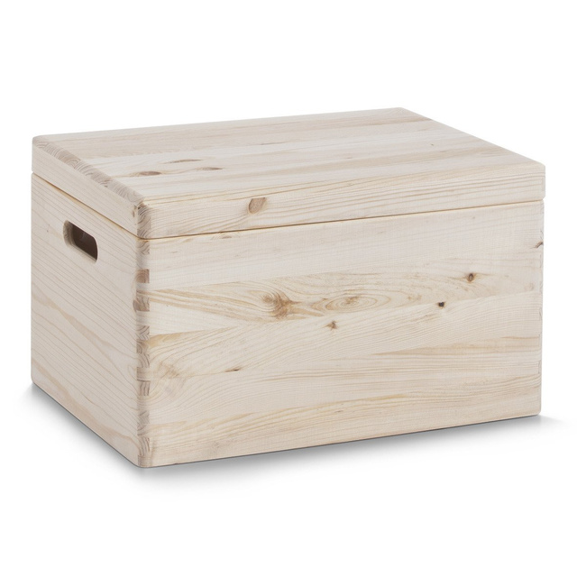 Recipient de depozitare, organizator cu capac, 30 l, ZELLER