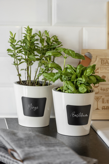 Ghiveci din ceramică WAIA, alb, ∅ 13, WENKO