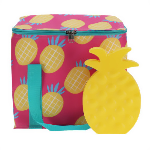 Geantă termică cu inserție de răcire, 21 x 12 x 22 cm