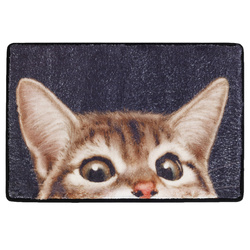 Covoras de intrare CAT, 60 x 40 cm