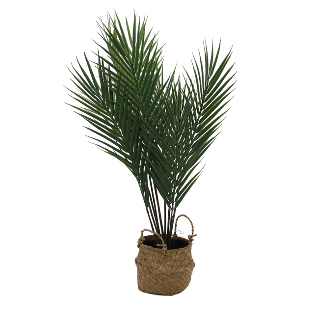 Planta de palmier artificiala in cos, 64 cm