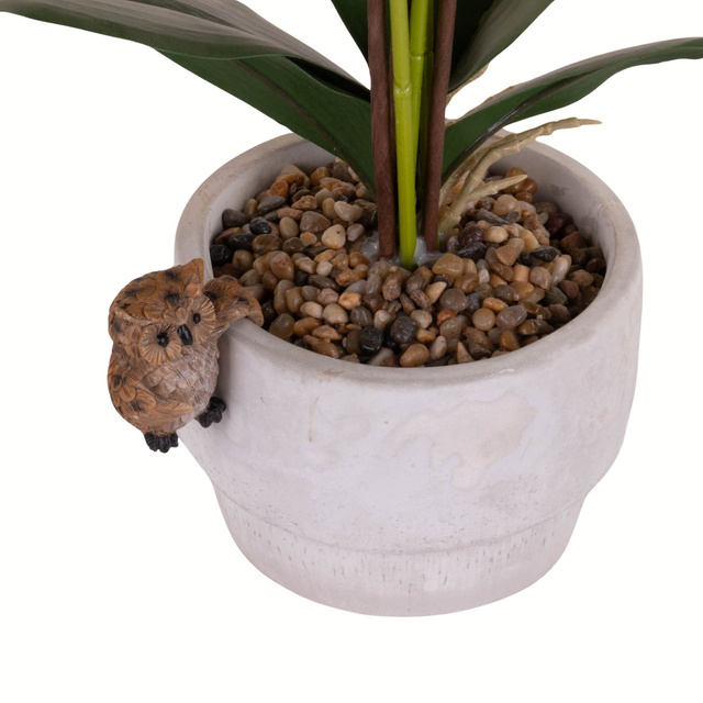 Culoare pentru ghiveci Animal vesel, polyresin, 9 x 4,5 x 8 cm