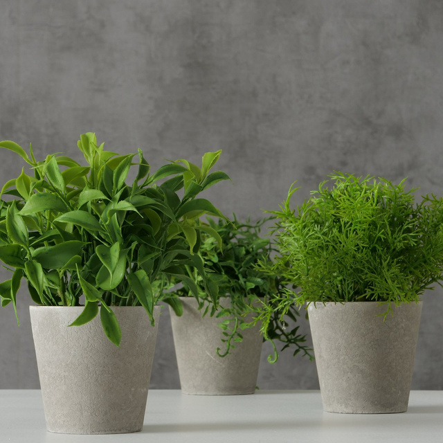 Planta artificiala in ghiveci de ciment FERIGA, 17 cm