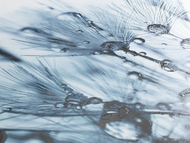 Capsc WC SERENO, Thermoplast, WENKO