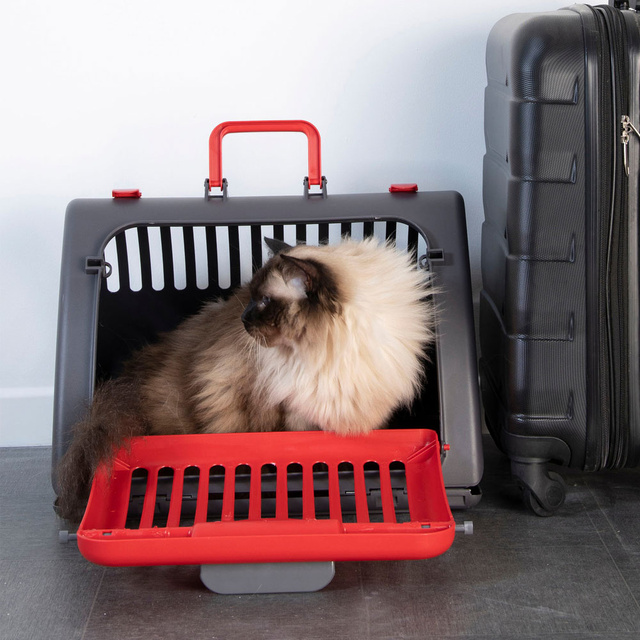 Cușcă de transport pentru pisici și câini, pliabilă, plastic, 46 x 35 x 33 cm