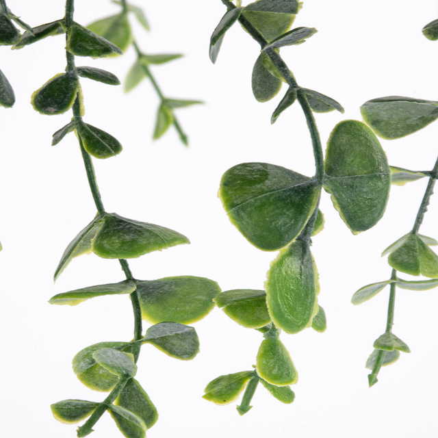 Plantă suspendată PATRI Ø 14 cm cu ghiveci din fibre naturale