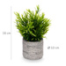 Suculent artificial în ghiveci cu dungi FEGREE, Ø 10 cm