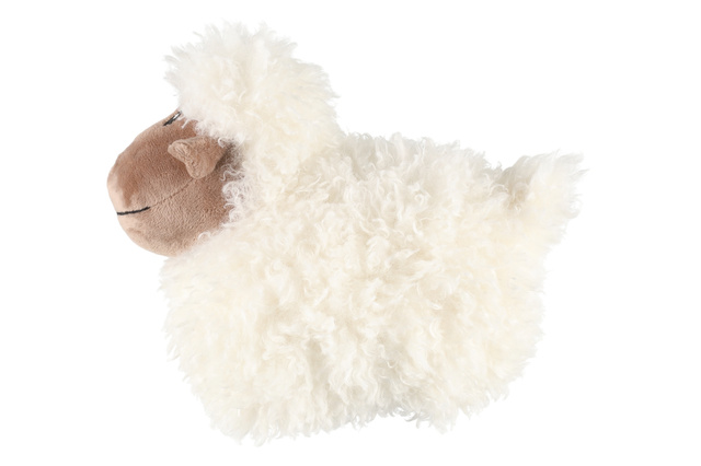 Oprire ușă de oaie