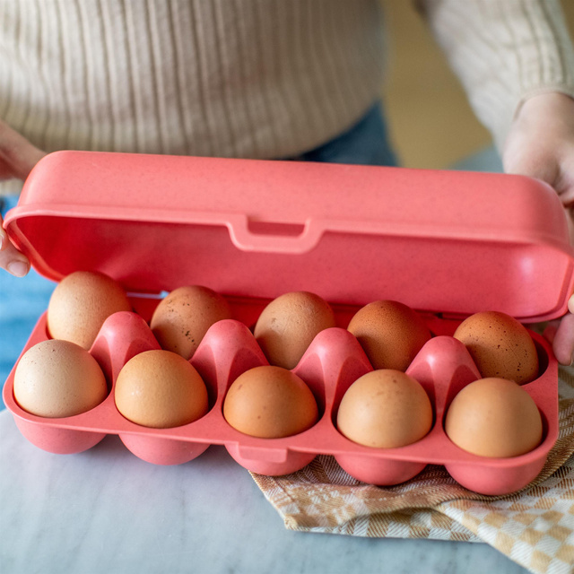 Recipient pentru ouă EGGS TO GO, pentru 10 ouă, KOZIOL