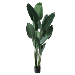 Planta de banane artificiala, inaltime 185 cm