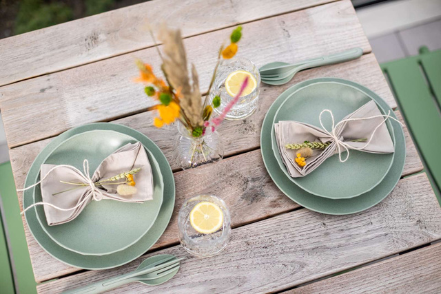 Soup Plate CLUB organic green