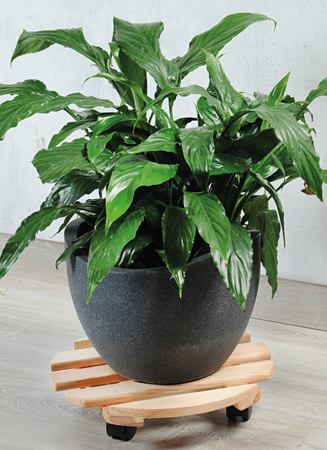 Suport mobil pentru ghivece, lemn de pin, 100 kg