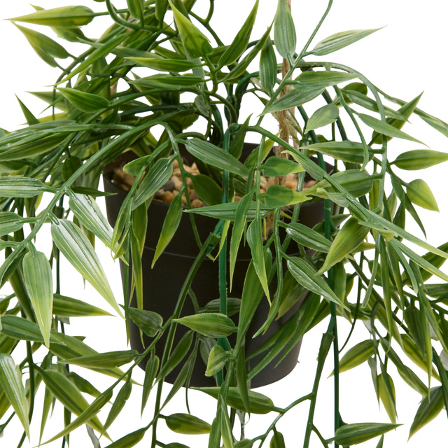 Bambus suspendat în ghiveci LIORA, 67 cm