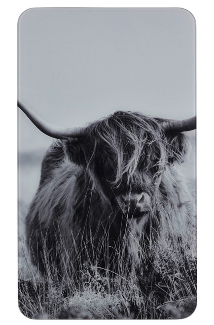 Protectii pentru aragaz, set 2 bucati, WENKO