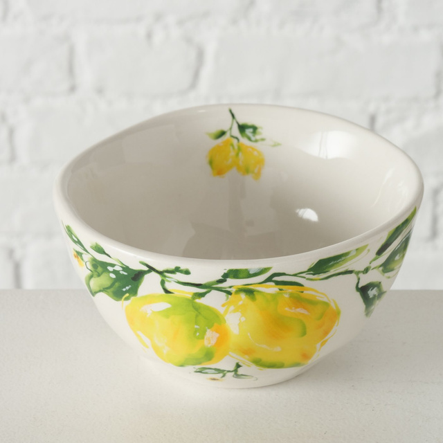 Bol pentru supă LEMONY, 500 ml