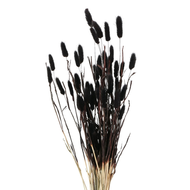 Crengute decorative pentru vaza, uscate, 70 cm