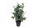 Eucalipt artificial în ghiveci EDEN, 54 cm