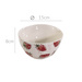Bol ceramic pentru supa Strawberry, model capsuni, 540 ml