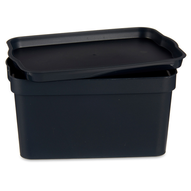 Cutie de depozitare din plastic, 2,3 l