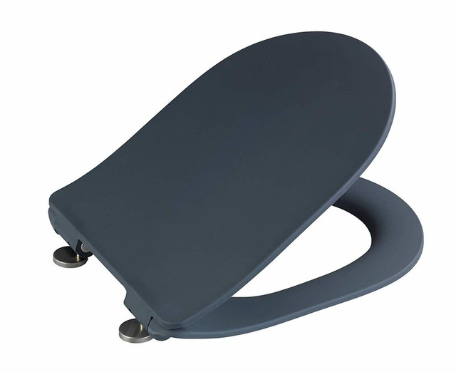 Capacul de toaletă Sedilo, duroplast, gri mat, WENKO