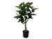 Planta artificială arbore de cauciuc, 69 cm