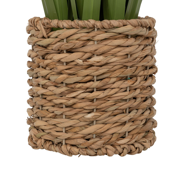 Buchet de in ZYA în ghiveci din fibre naturale, 91 cm