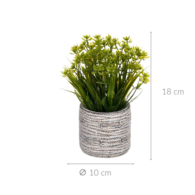 Suculent artificial în ghiveci cu dungi FEGREE, Ø 10 cm