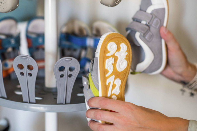 Organizer telescopic pentru încălțăminte ACHILLES - 36 de perechi de pantofi, WENKO, gri