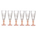 Set 6 pahare pentru sampanie,170 ml