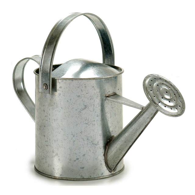 Stropitoare din zinc OASIS, 2 l