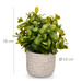 Suculent artificial în ghiveci FEGREE, Ø 10 cm