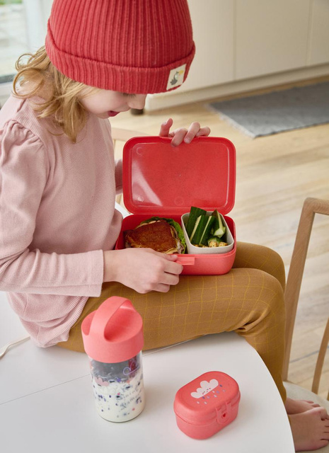 Sticla de apa DREAMS, 500 ml, KOZIOL