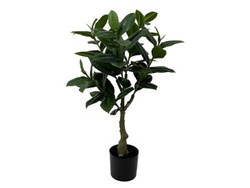 Planta artificială arbore de cauciuc, 69 cm