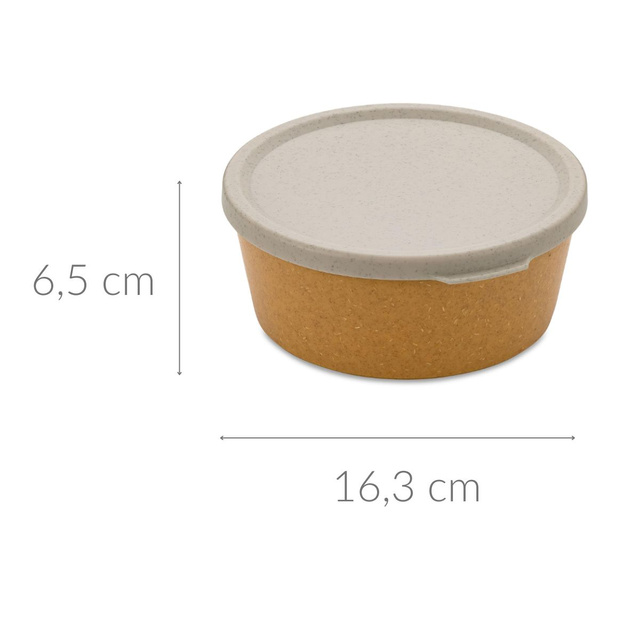 Recipient alimentar CONNECT BOWL, ermetic, 890 ml, KOZIOL