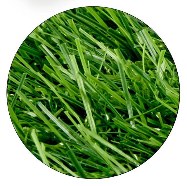 Iarba artificiala pentru balcon, rola, grosime 2,2 cm, 1 x 3 m