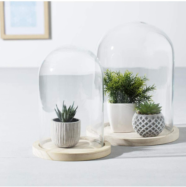 Cupolă din sticlă, Ø 18 cm, pe o bază din lemn