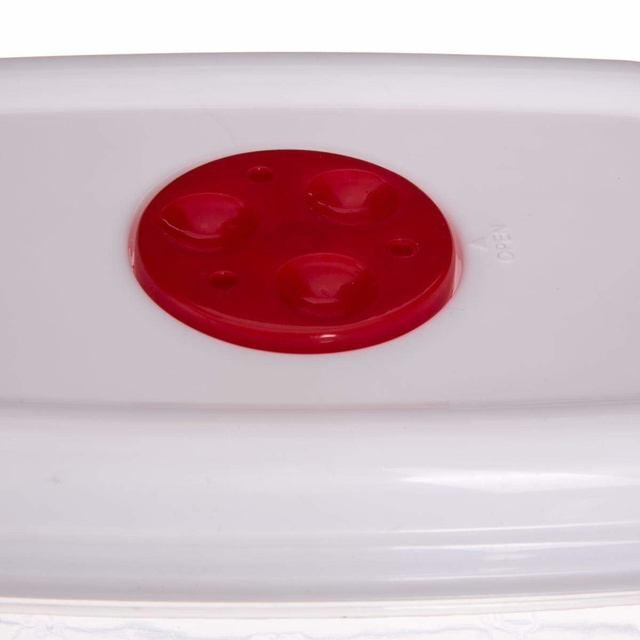 Set recipiente pentru alimente, 5 dimensiuni, ideale pentru microunde