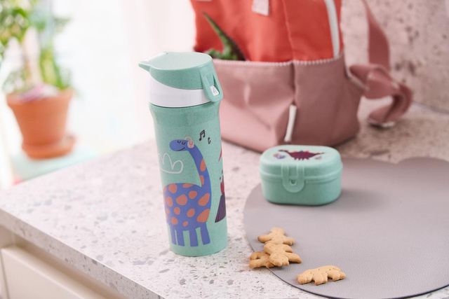 Sticla de apa DREAMS, 500 ml, KOZIOL