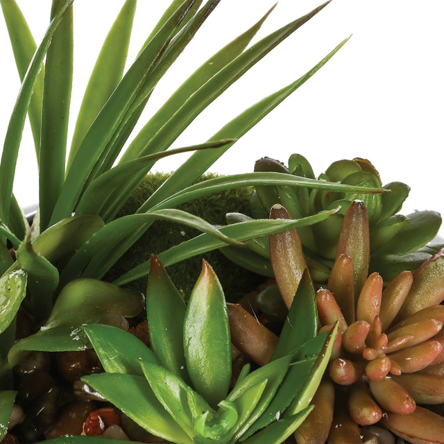 Plante artificiale, Ø 20 cm, o compoziție de plante suculente