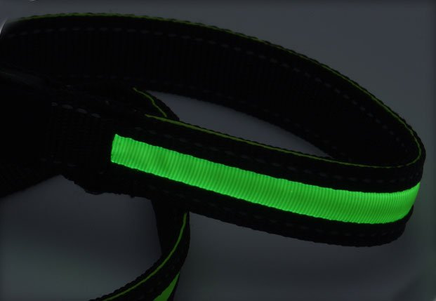 Lesa pentru caine LED, 120 cm