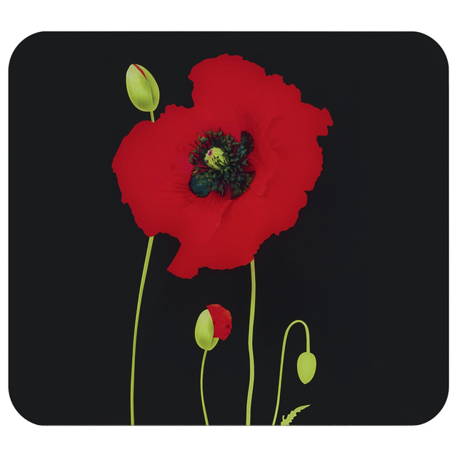 Plita de sticla, 56 x 50 cm, POPPY, Maximex