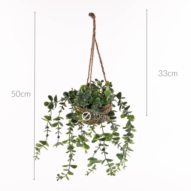 Plantă suspendată PATRI Ø 14 cm cu ghiveci din fibre naturale