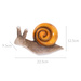 Decor de gradina melc, 22 x 10 cm